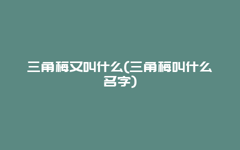 三角梅又叫什么(三角梅叫什么名字)