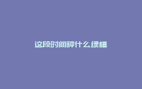 这段时间种什么绿植