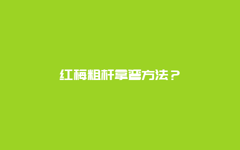 红梅粗杆拿弯方法？