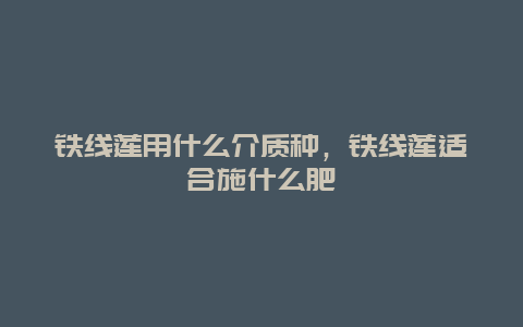 铁线莲用什么介质种，铁线莲适合施什么肥