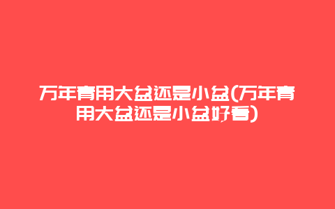 万年青用大盆还是小盆(万年青用大盆还是小盆好看)