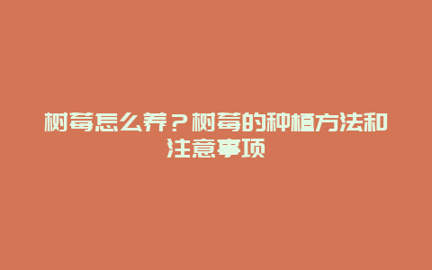 树莓怎么养？树莓的种植方法和注意事项