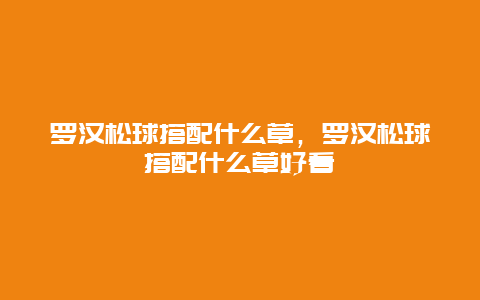 罗汉松球搭配什么草，罗汉松球搭配什么草好看