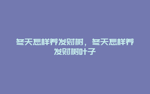 冬天怎样养发财树，冬天怎样养发财树叶子