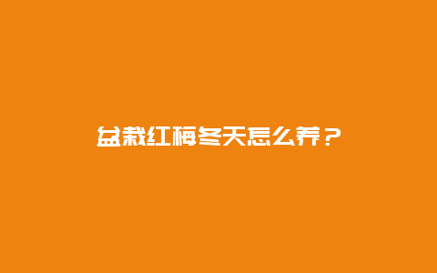 盆栽红梅冬天怎么养？