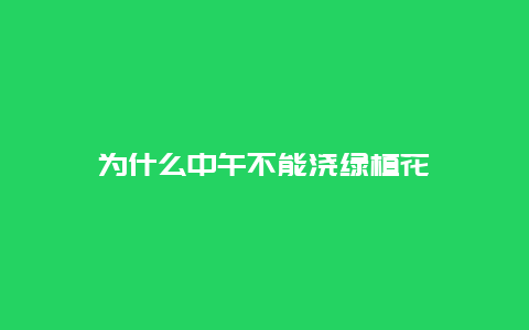 为什么中午不能浇绿植花