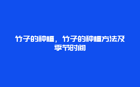 竹子的种植，竹子的种植方法及季节时间