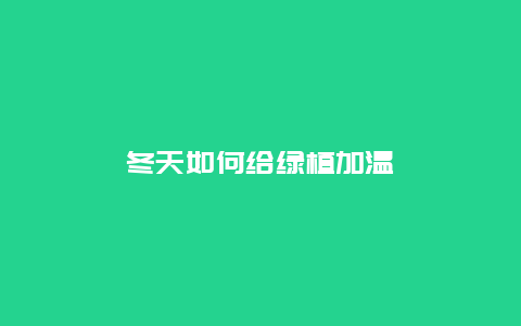 冬天如何给绿植加温