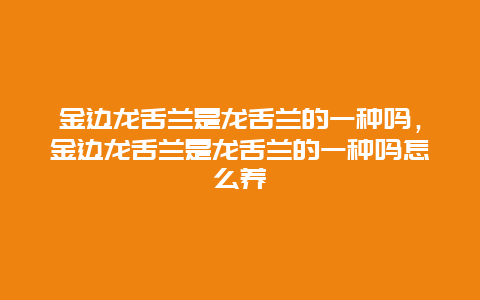 金边龙舌兰是龙舌兰的一种吗，金边龙舌兰是龙舌兰的一种吗怎么养