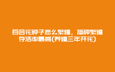 百合花种子怎么繁殖，播种繁殖存活率最高(养殖三年开花)