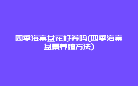 四季海棠盆花好养吗(四季海棠盆景养殖方法)