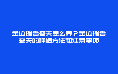 金边瑞香冬天怎么养？金边瑞香冬天的种植方法和注意事项