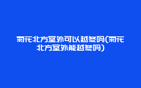 菊花北方室外可以越冬吗(菊花北方室外能越冬吗)