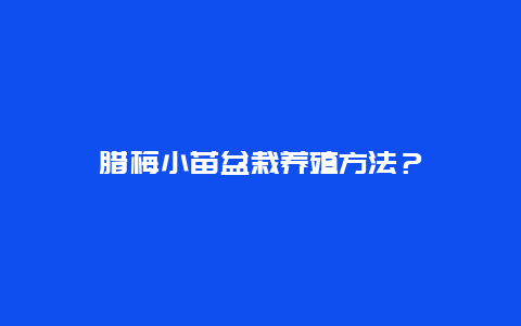 腊梅小苗盆栽养殖方法？