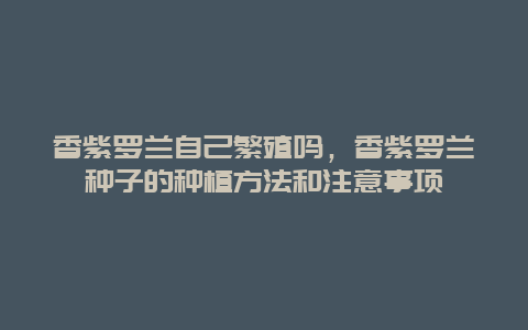 香紫罗兰自己繁殖吗，香紫罗兰种子的种植方法和注意事项