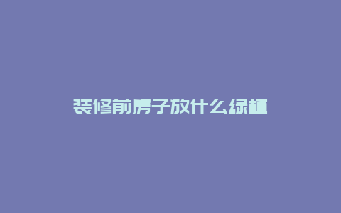 装修前房子放什么绿植