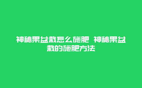 神秘果盆栽怎么施肥 神秘果盆栽的施肥方法