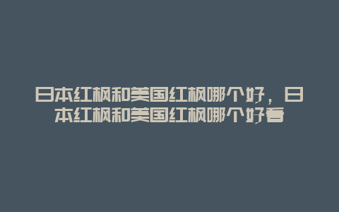 日本红枫和美国红枫哪个好，日本红枫和美国红枫哪个好看