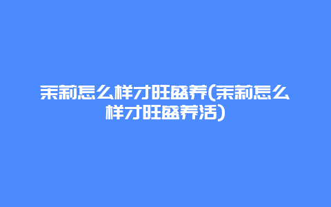 茉莉怎么样才旺盛养(茉莉怎么样才旺盛养活)