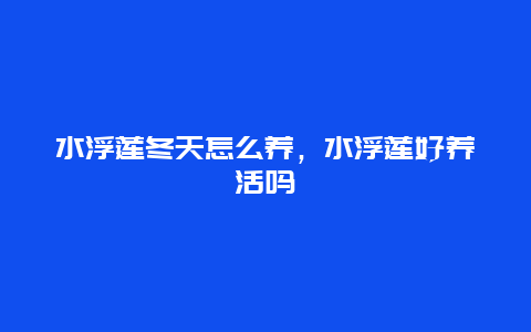 水浮莲冬天怎么养，水浮莲好养活吗