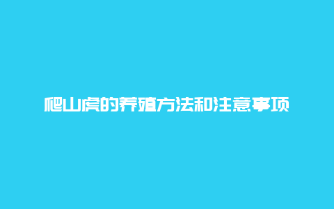 爬山虎的养殖方法和注意事项