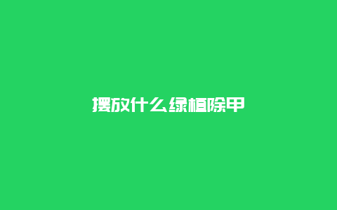 摆放什么绿植除甲醛