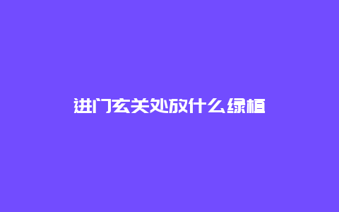 进门玄关处放什么绿植