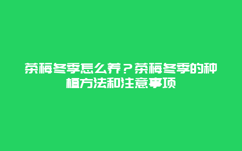 茶梅冬季怎么养？茶梅冬季的种植方法和注意事项