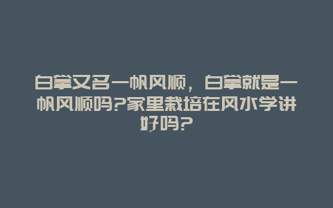 白掌又名一帆风顺，白掌就是一帆风顺吗?家里栽培在风水学讲好吗?