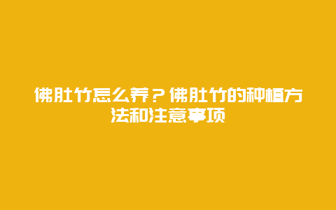 佛肚竹怎么养？佛肚竹的种植方法和注意事项