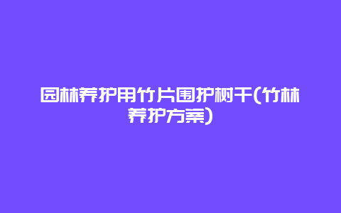 园林养护用竹片围护树干(竹林养护方案)