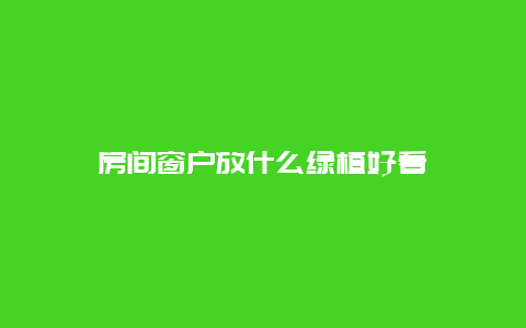 房间窗户放什么绿植好看