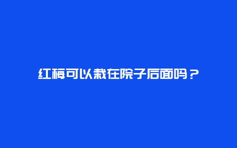 红梅可以栽在院子后面吗？