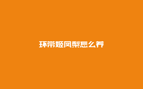 环带姬凤梨怎么养