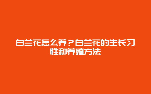 白兰花怎么养？白兰花的生长习性和养殖方法