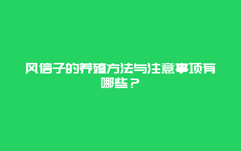 风信子的养殖方法与注意事项有哪些？