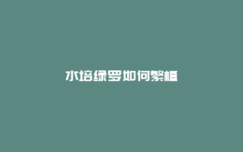 水培绿罗如何繁植