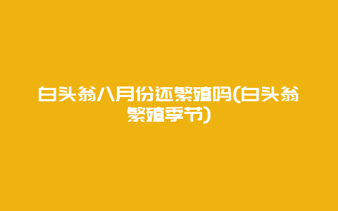 白头翁八月份还繁殖吗(白头翁繁殖季节)