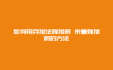 如何用芽接法嫁接树 来看嫁接树的方法