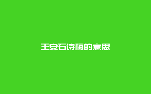 王安石诗梅的意思