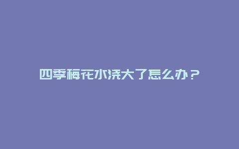 四季梅花水浇大了怎么办？