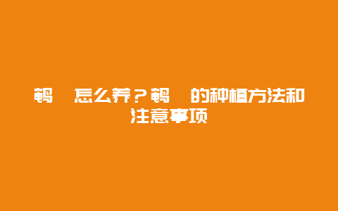 鹌鹑怎么养？鹌鹑的种植方法和注意事项