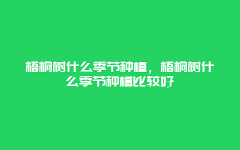 梧桐树什么季节种植，梧桐树什么季节种植比较好