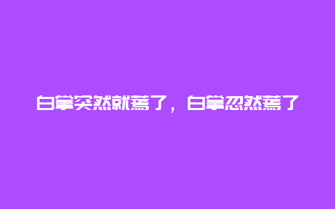 白掌突然就蔫了，白掌忽然蔫了