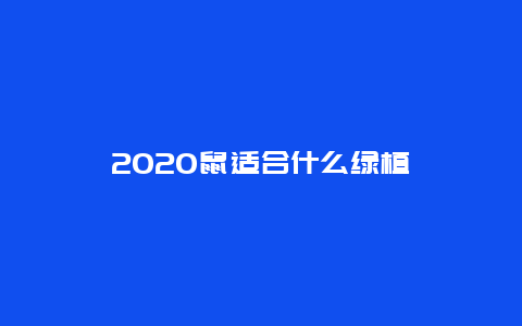 2020鼠适合什么绿植