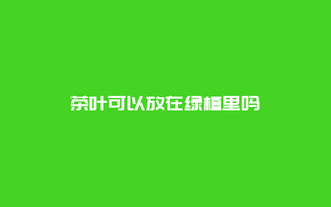 茶叶可以放在绿植里吗