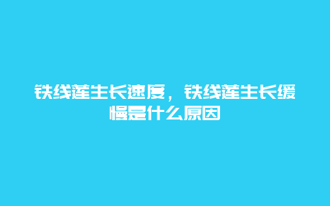 铁线莲生长速度，铁线莲生长缓慢是什么原因