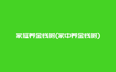 家庭养金钱树(家中养金钱树)