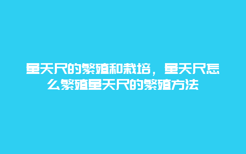 量天尺的繁殖和栽培，量天尺怎么繁殖量天尺的繁殖方法