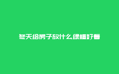 冬天给房子放什么绿植好看